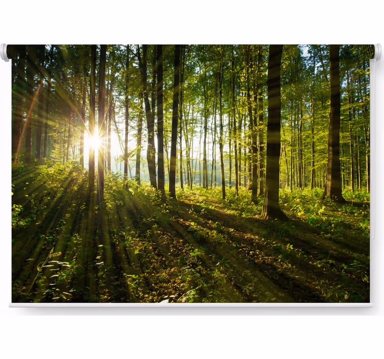Store enrouleur arbre bois éclatant doré - TenStickers