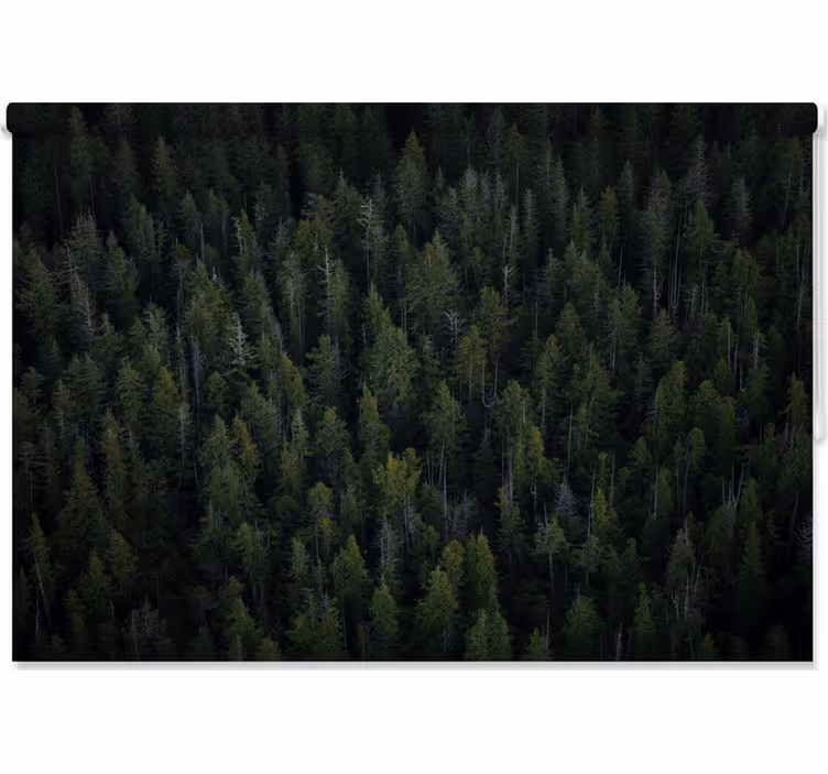 Store enrouleur arbre texture bois profond - TenStickers