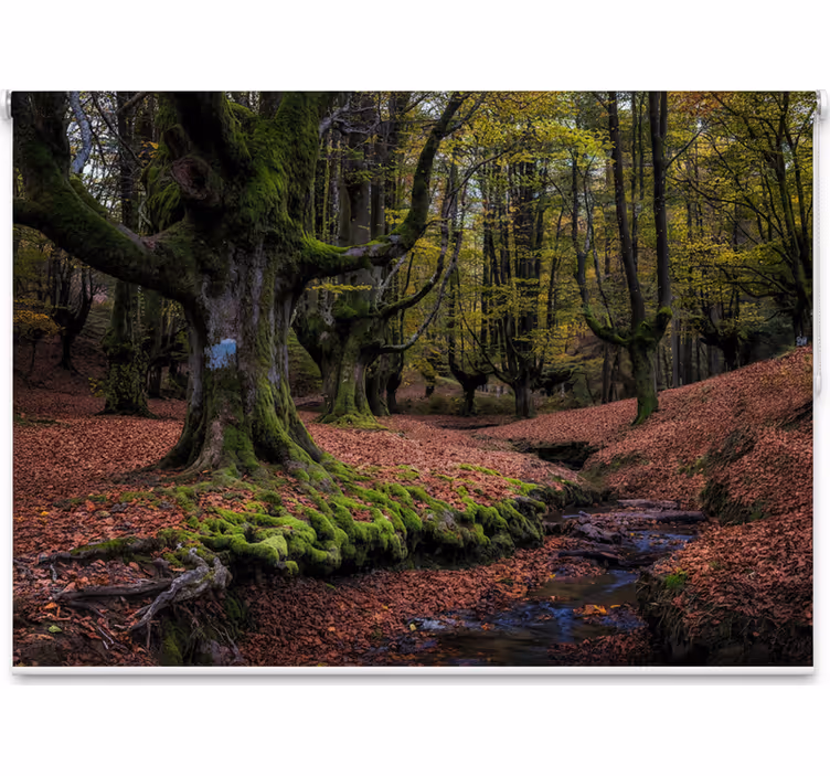 Store enrouleur arbre forêt enchantée d'automne - TenStickers