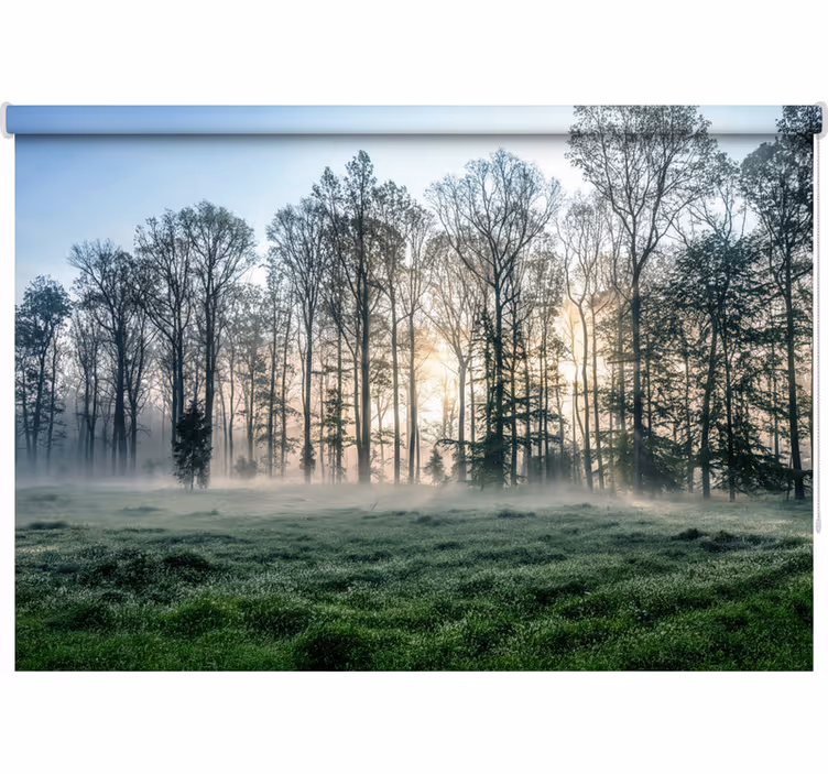Store enrouleur arbre prairie du matin brumeux - TenStickers