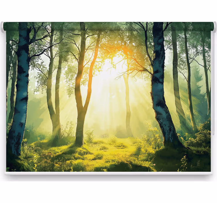 Store enrouleur arbre fresque de bouleau ensoleillé - TenStickers