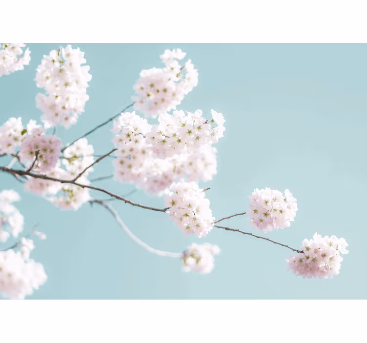 Store enrouleur cuisine design de fleurs blanches élégantes - TenStickers
