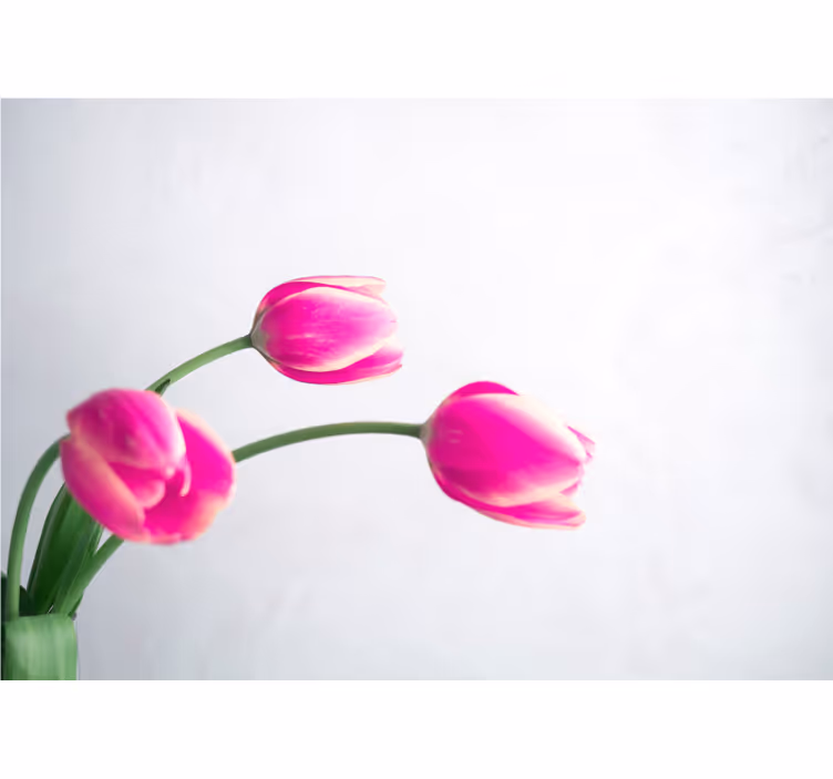 Store enrouleur cuisine trois tulipes fond blanc - TenStickers