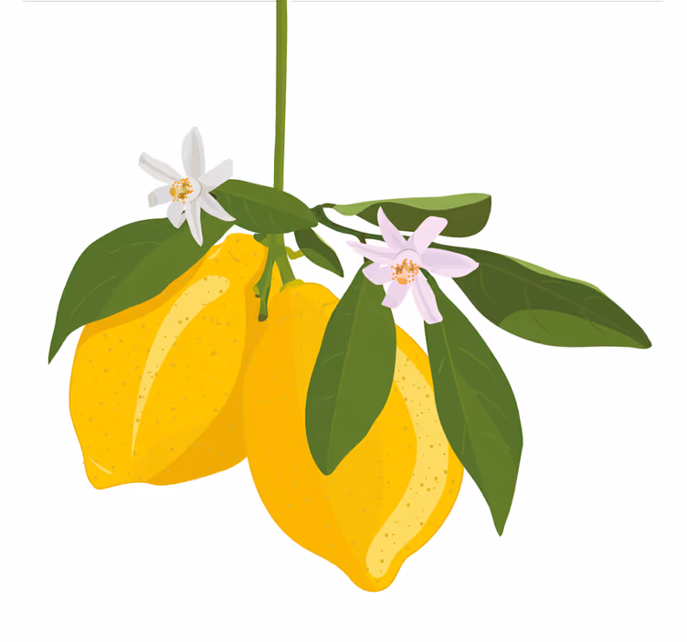Store enrouleur cuisine arbre à citron - TenStickers
