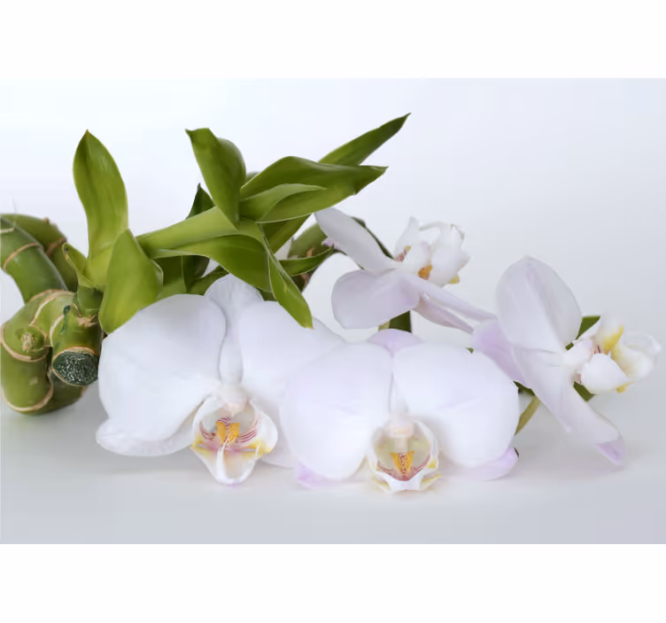 Store enrouleur blanc orchidée verte et blanche - TenStickers