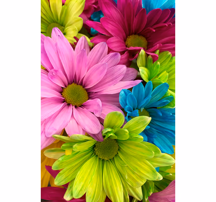 Store enrouleur salon fleurs colorées - TenStickers