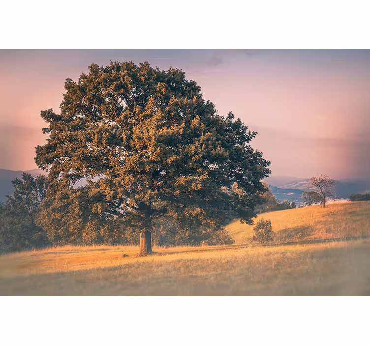 Store enrouleur salon style vieux arbre cottagecore - TenStickers
