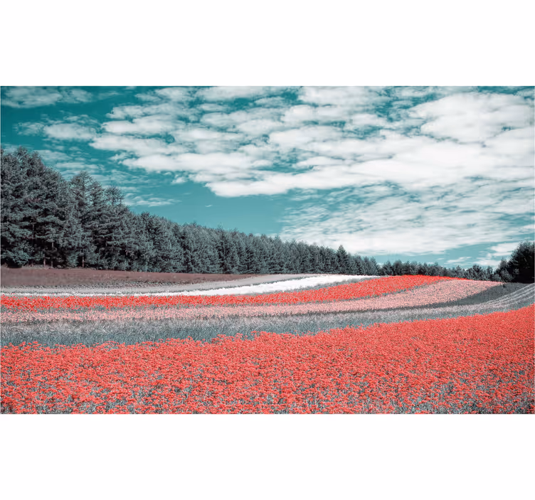Store enrouleur salon champ de fleurs variées - TenStickers