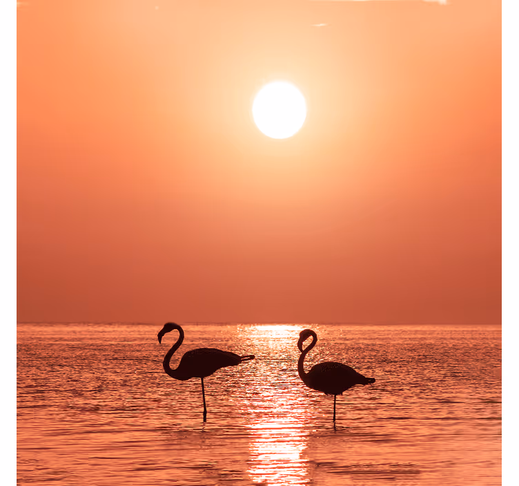 Store enrouleur salon flamant rose au coucher de soleil - TenStickers
