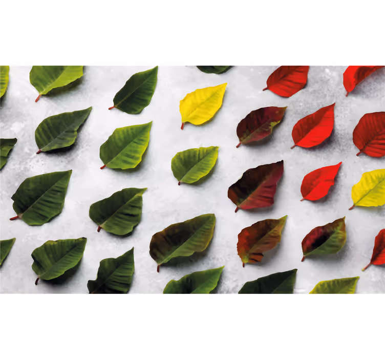 Store enrouleur salon feuilles colorées vues du dessus - TenStickers