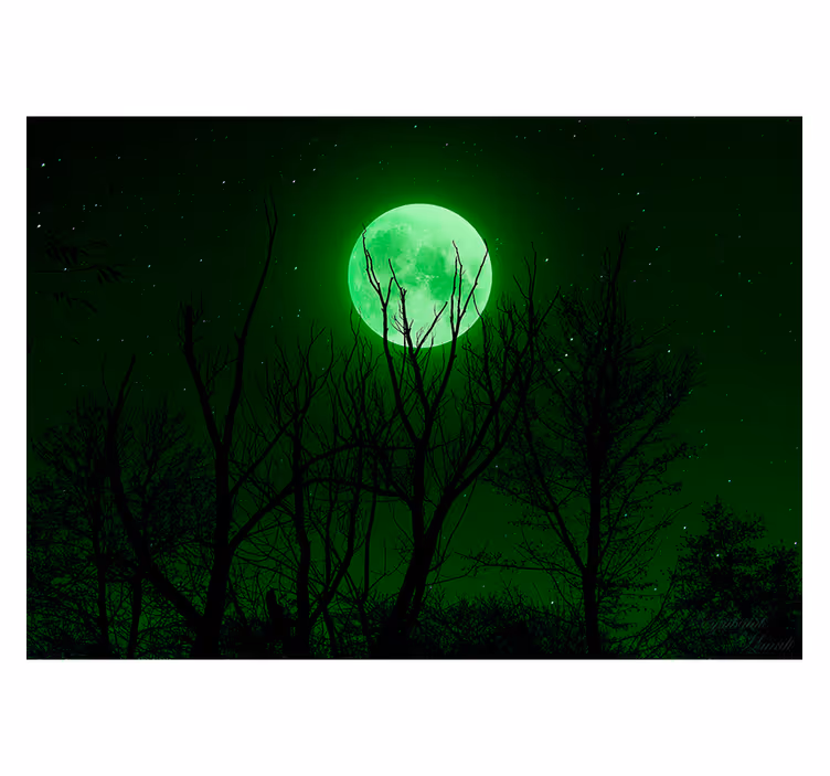 Store enrouleur noir lune verte - TenStickers