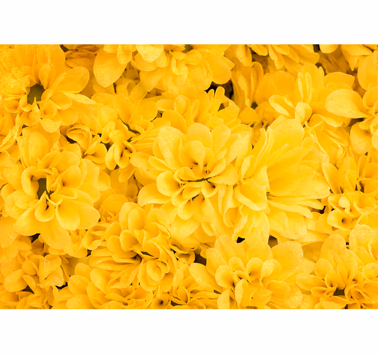Store enrouleur jaune pétales de fleurs - TenStickers