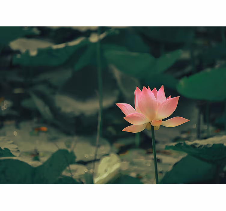 Store enrouleur vert fleurs roses - TenStickers