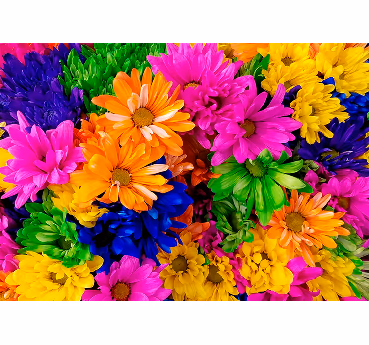 Store enrouleur salon chrysanthème coloré - TenStickers