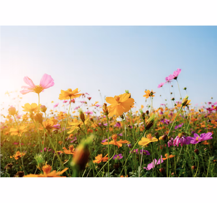Store enrouleur salon mélange de fleurs variées - TenStickers