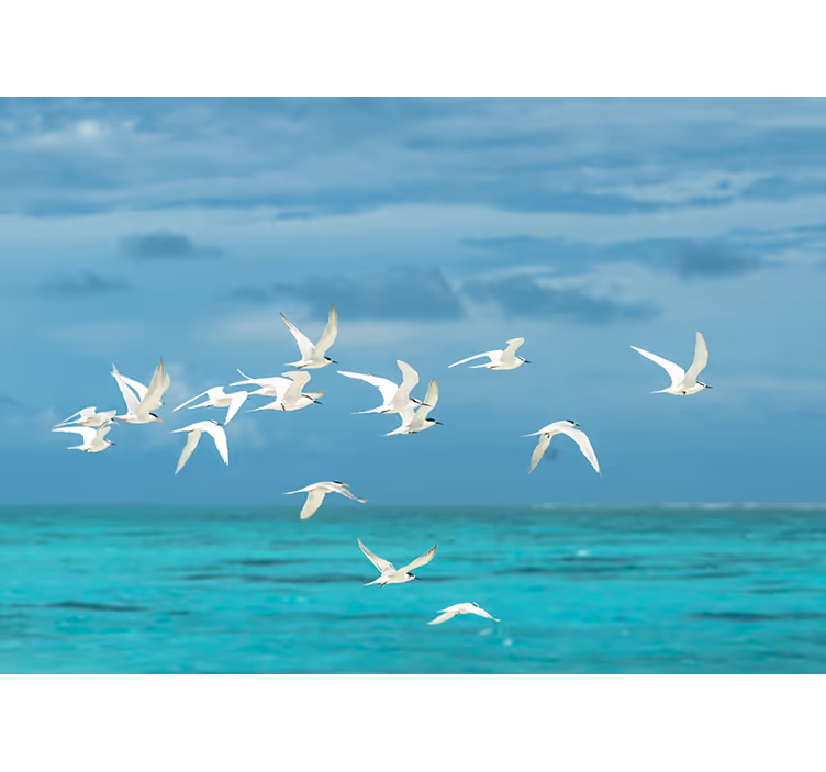 Store enrouleur salon oiseaux en vol - TenStickers