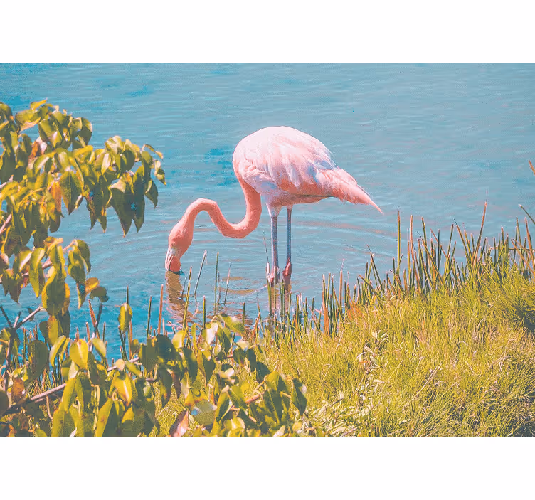 Store enrouleur salon flamant rose près de l'eau - TenStickers