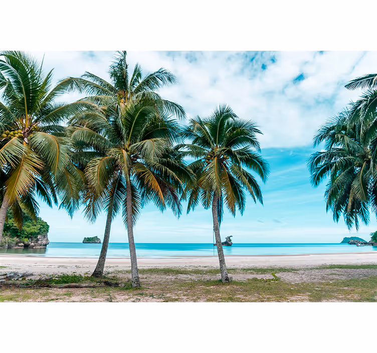 Store enrouleur salon palmiers plage sable - TenStickers