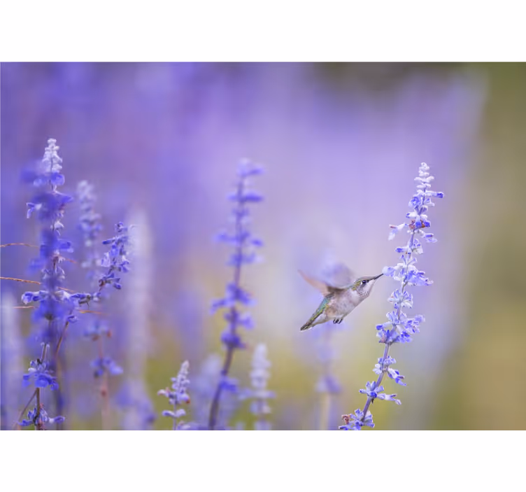 Store enrouleur salon fleurs avec oiseau - TenStickers