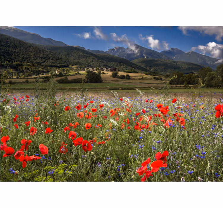 Store enrouleur salon champ de fleurs joli - TenStickers