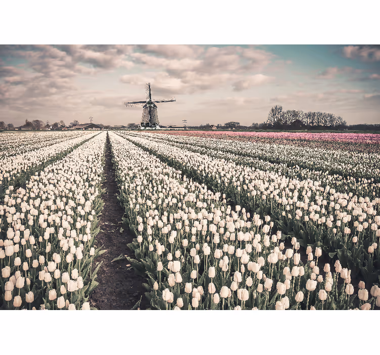 Store enrouleur salon champ de tulipes et moulin - TenStickers