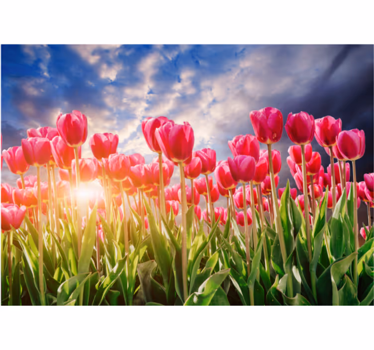 Store enrouleur salon coucher de soleil fleuri - TenStickers