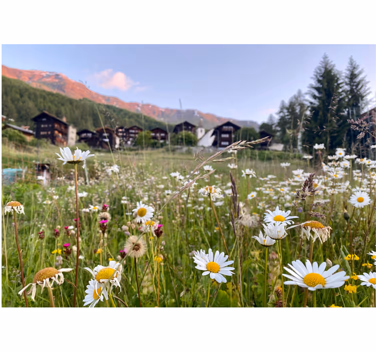 Store enrouleur salon paysage floral village - TenStickers