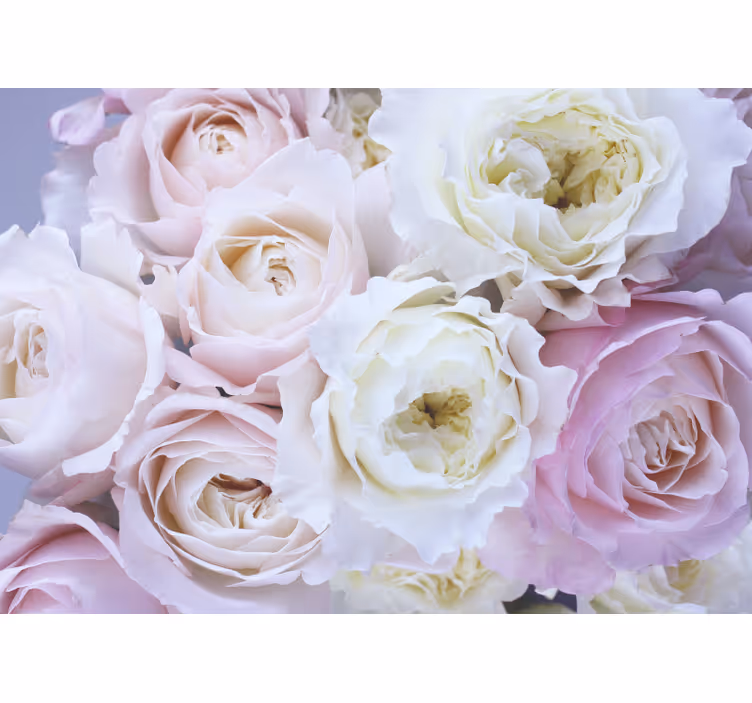 Store enrouleur salon roses différentes en gros plan - TenStickers