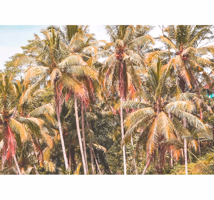 Store enrouleur salon palmier vert dans la jungle - TenStickers