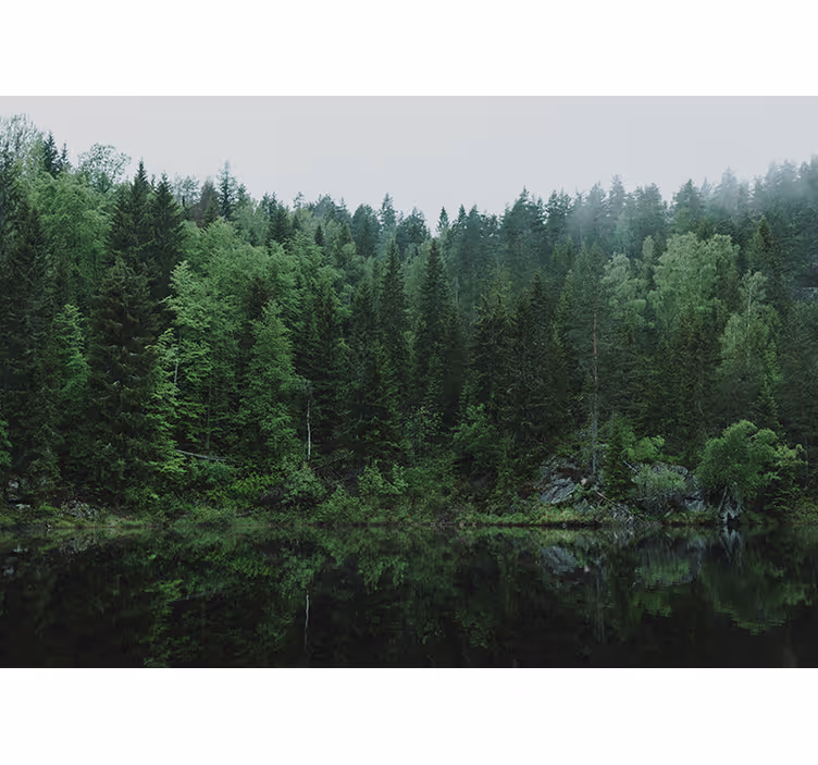 Store enrouleur salon forêt au bord du lac - TenStickers