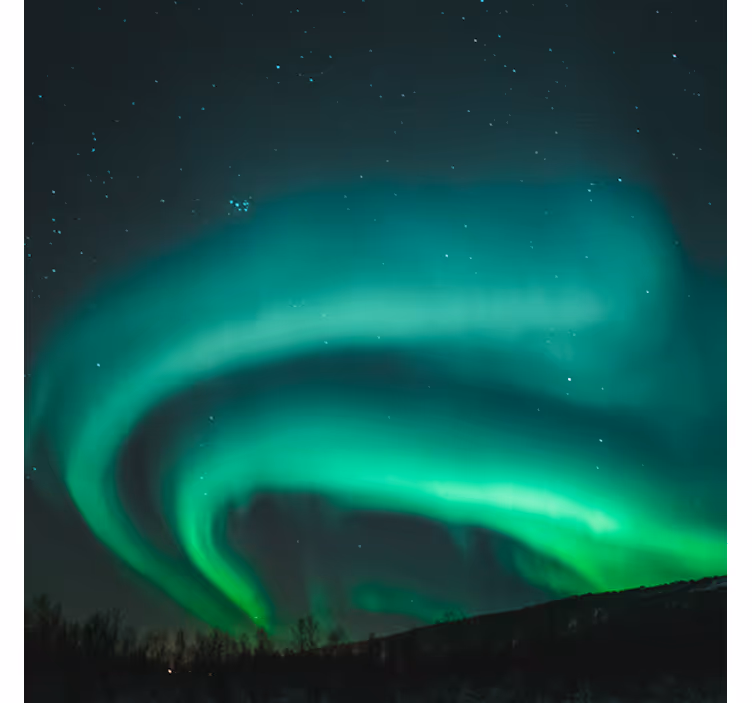 Store enrouleur salon paysage nordique vert magnifique - TenStickers