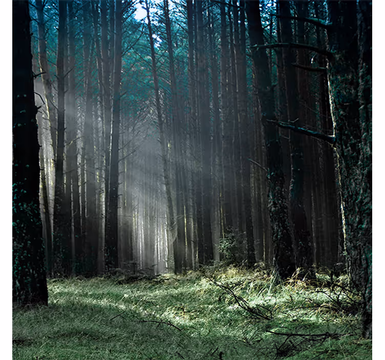 Store enrouleur salon forêt brumeuse bleue - TenStickers