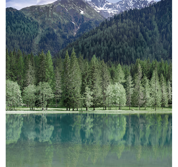 Store enrouleur salon lac verdoyant magnifique - TenStickers