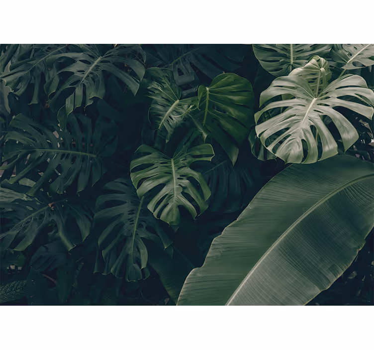 Store enrouleur salon forêt tropicale verte - TenStickers