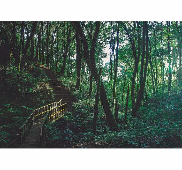 Store enrouleur salon paysage d'arbres verts - TenStickers