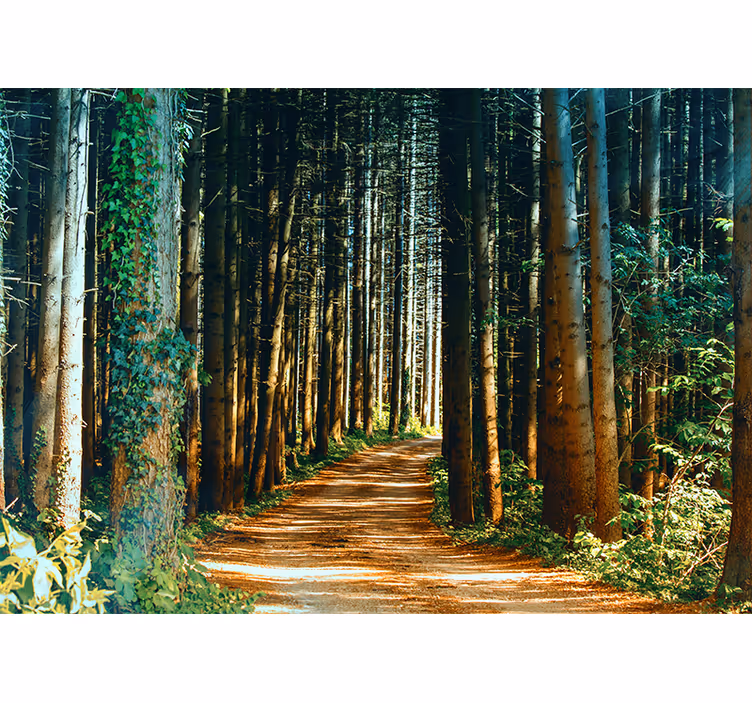 Store enrouleur salon chemin naturel arbre portail - TenStickers