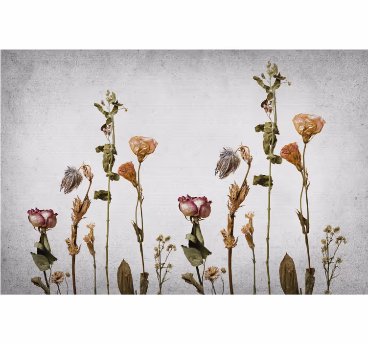 Store enrouleur salon plantes sèches scandinaves - TenStickers