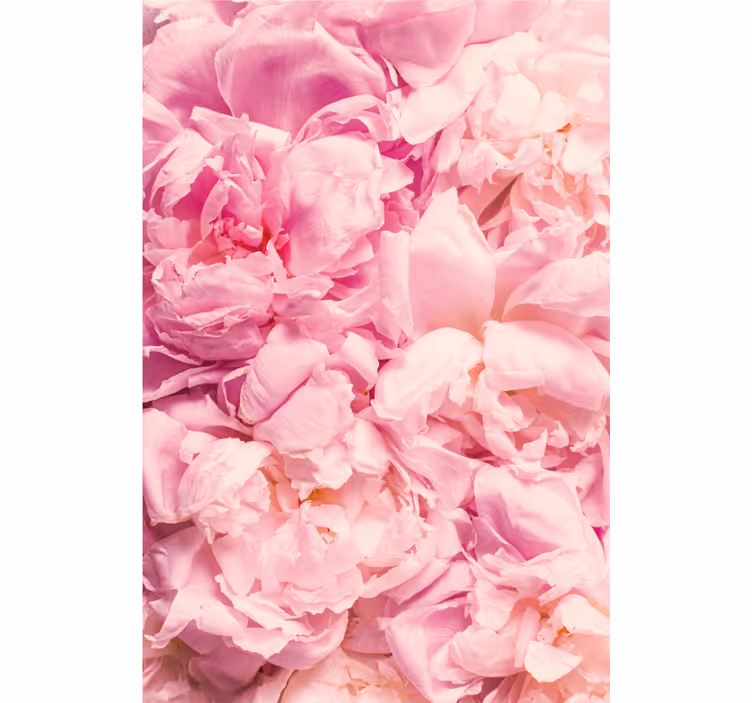Store enrouleur chambre fleurs roses pivoine réalistes - TenStickers