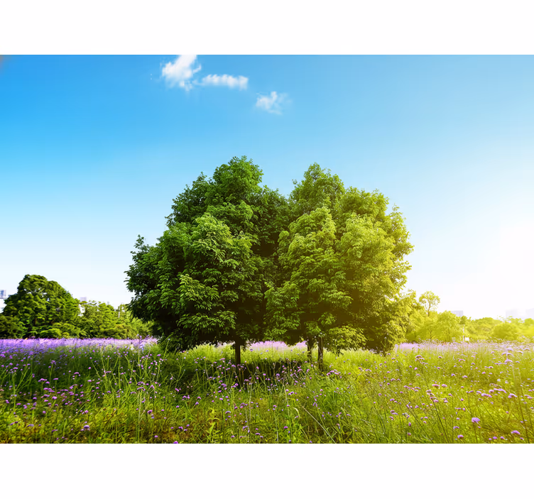 Store enrouleur salon arbre de printemps haut - TenStickers