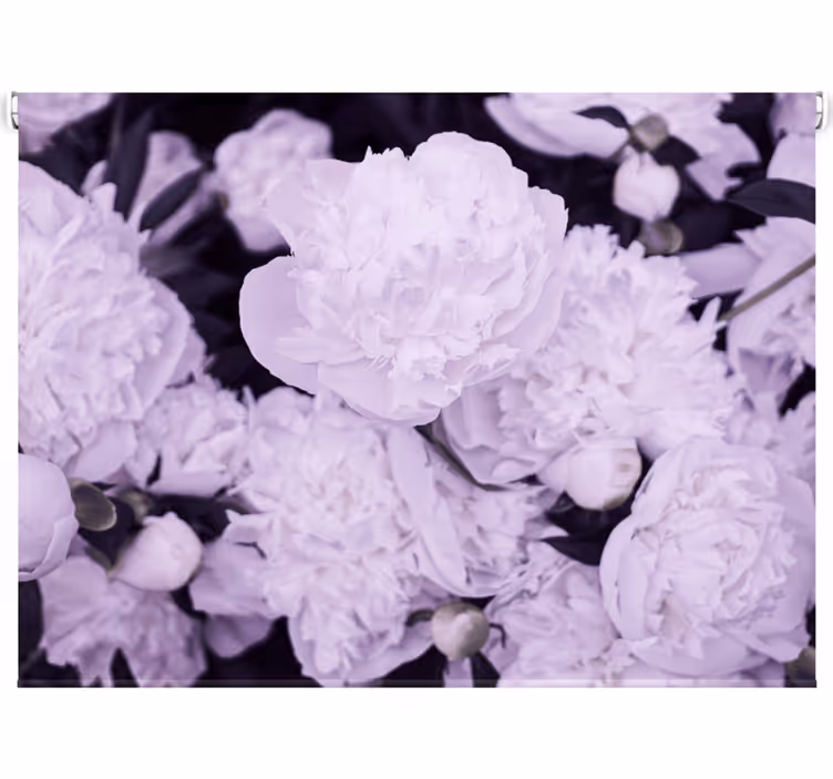 Store enrouleur salon pivoines roses élégantes - TenStickers