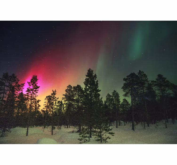 Store enrouleur chambre lumières nordiques sur arbres - TenStickers