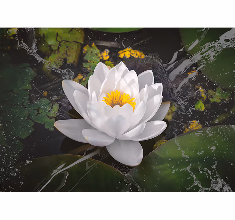 Store enrouleur chambre lotus blanc et jaune - TenStickers