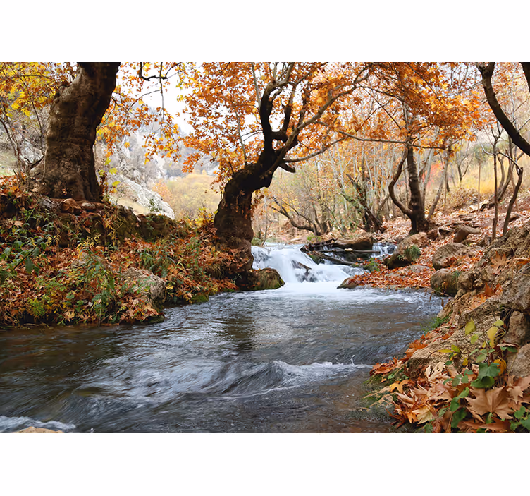 Store enrouleur chambre eau vive en forêt d'automne - TenStickers