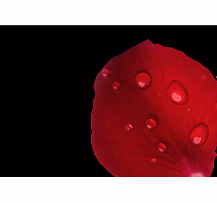 Store enrouleur chambre motif roses rouges et gouttes - TenStickers