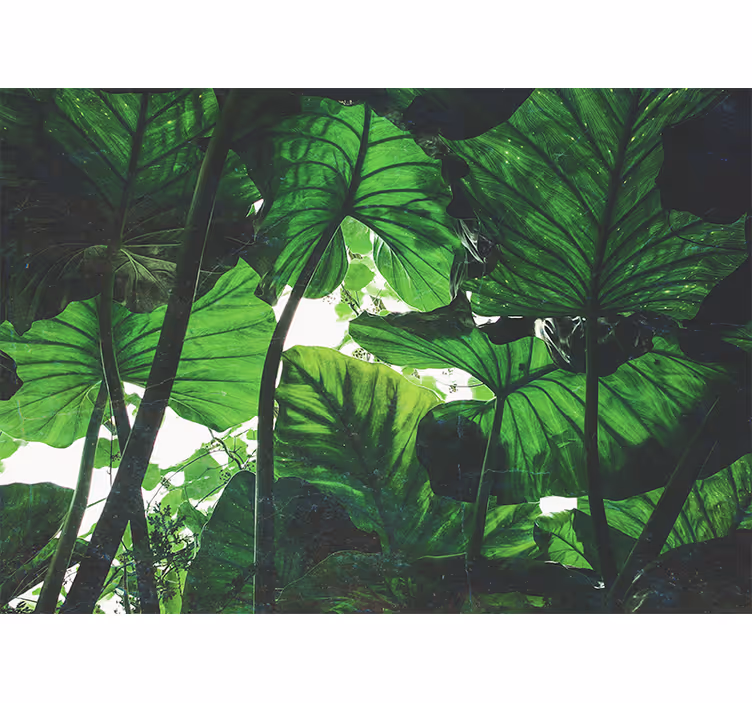 Store enrouleur chambre design de forêt tropicale verte - TenStickers