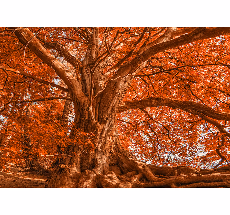 Store enrouleur chambre arbre d'automne magnifique - TenStickers