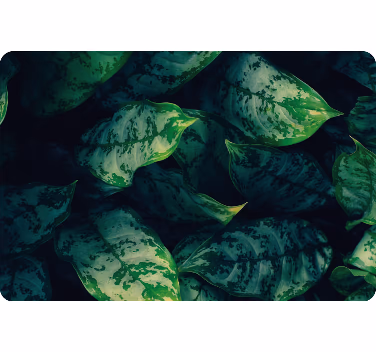 Store enrouleur chambre feuilles de maranta - TenStickers