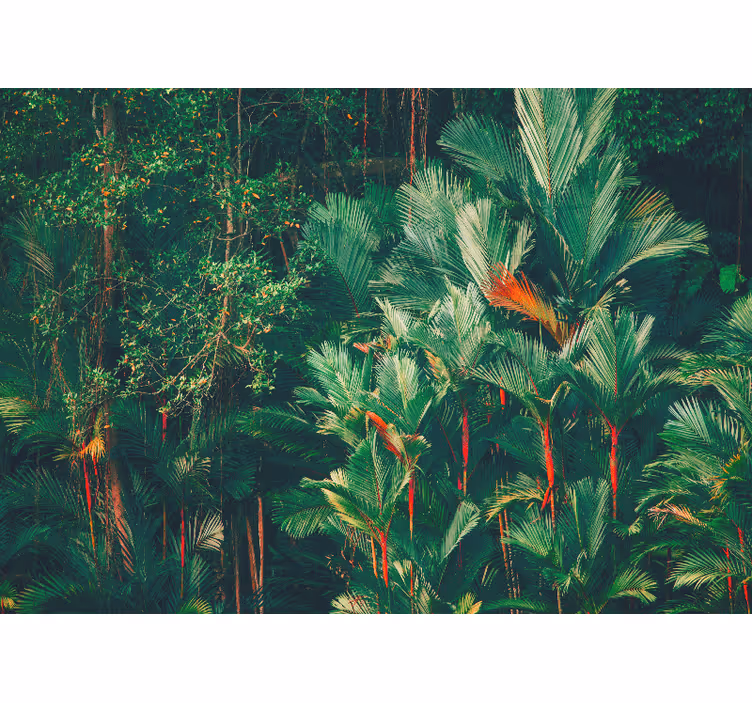 Store enrouleur chambre matin dans la jungle - TenStickers