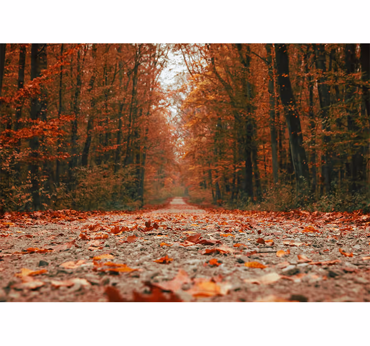 Store enrouleur chambre feuilles d'automne colorées - TenStickers
