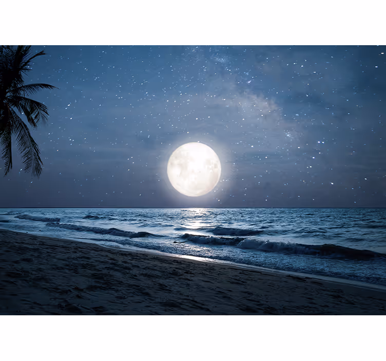 Store enrouleur chambre pleine lune sur l'océan - TenStickers